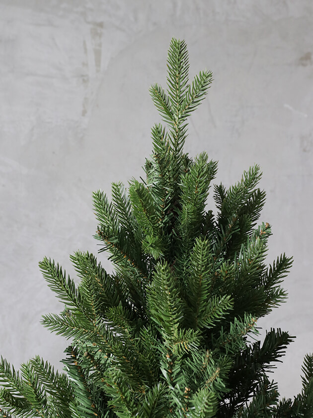 WEB限定カラー クリスマスツリー180cm クリスマス
