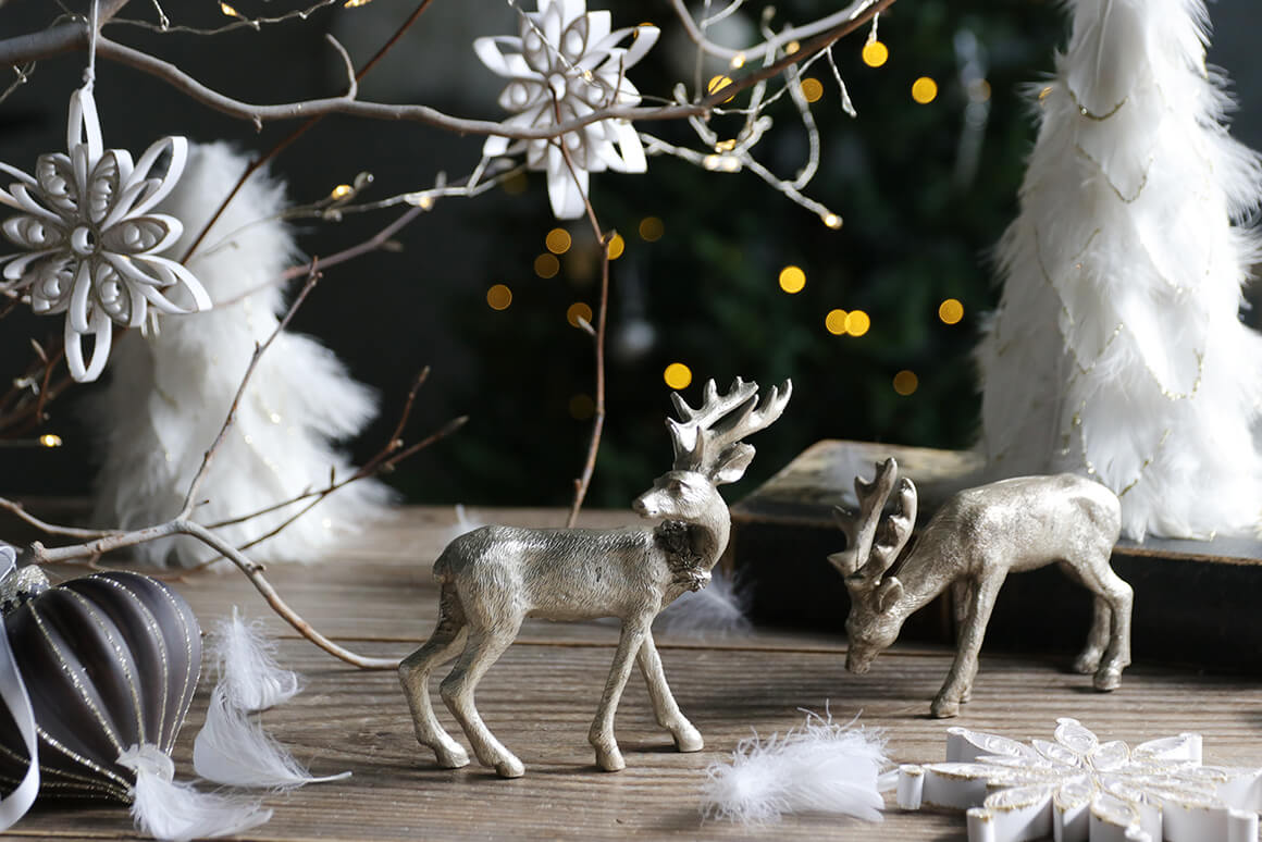 トナカイCシャンパンゴールド サラグレース