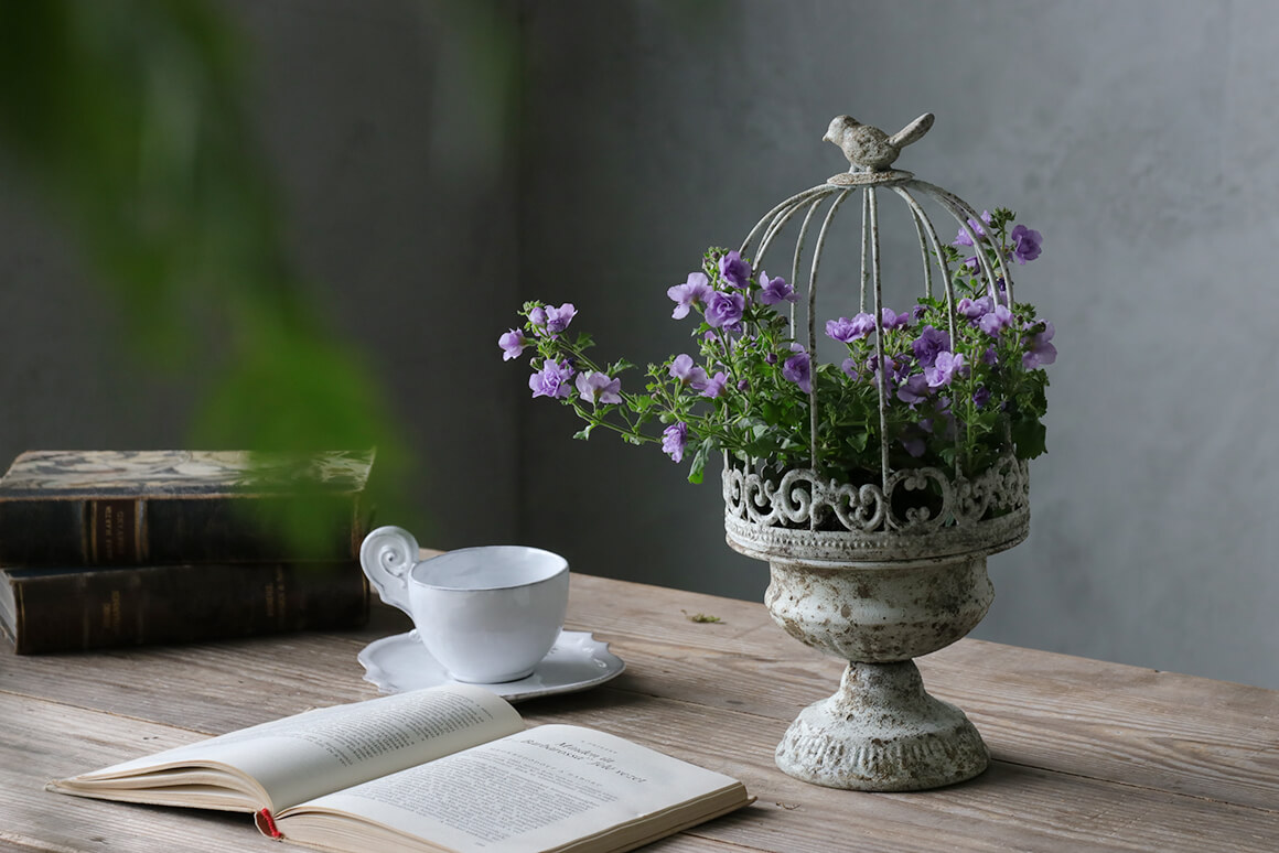 Chante�����ǥ�磻�䡼�С��ɥ������������Small