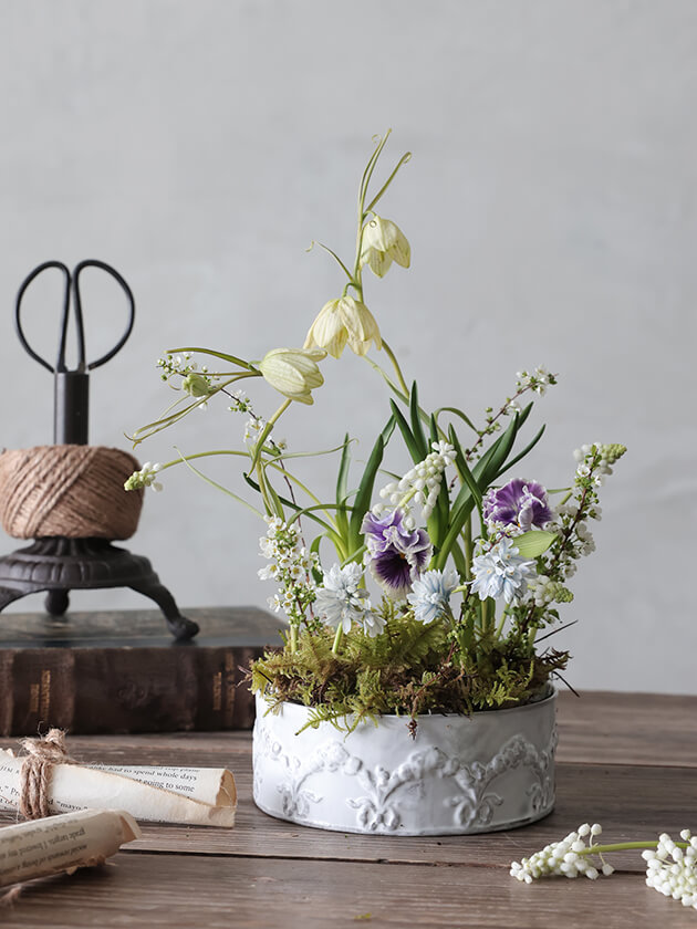 Carron�ץ졼�ȥե������Couronne M 14cm �������