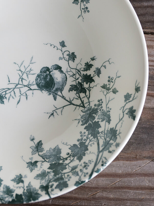 Gienסѥץ졼Les Oiseaux 󥪥 Gien Les Oiseaux Soup Pasta Plate