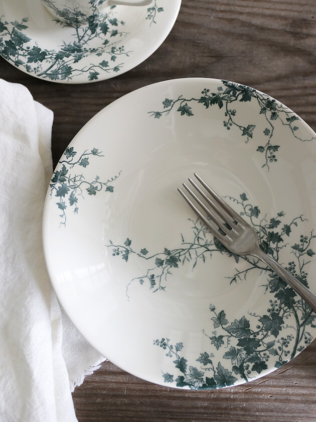 Gienסѥץ졼Les Oiseaux 󥪥 Gien Les Oiseaux Soup Pasta Plate