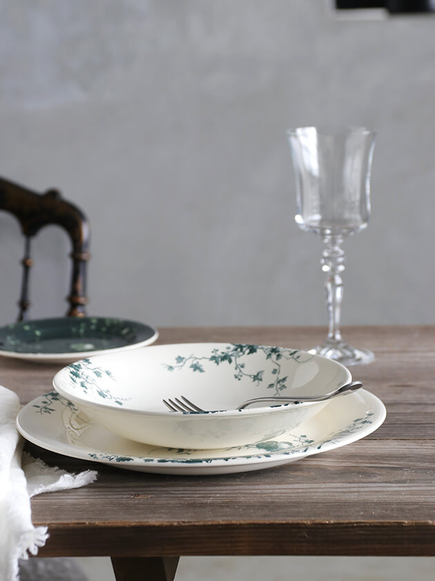 Gienסѥץ졼Les Oiseaux 󥪥 Gien Les Oiseaux Soup Pasta Plate