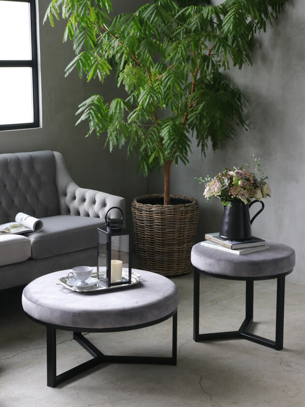 sofa domeアイアンプフトップドルフィングレーベルベット