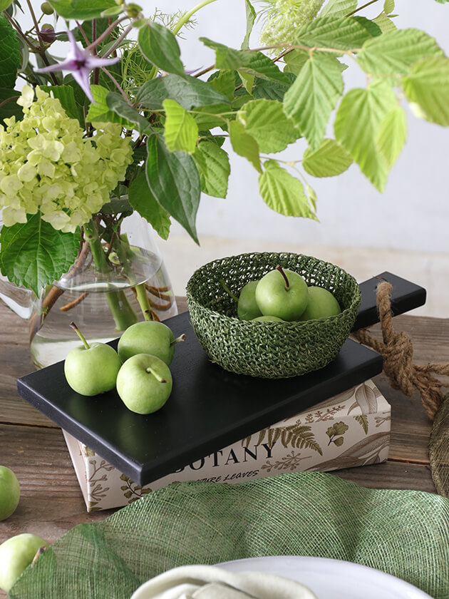 Fiorira un Giardino���Х��ܥ��륰�꡼��S �ե������ ���� �����ǥ�����