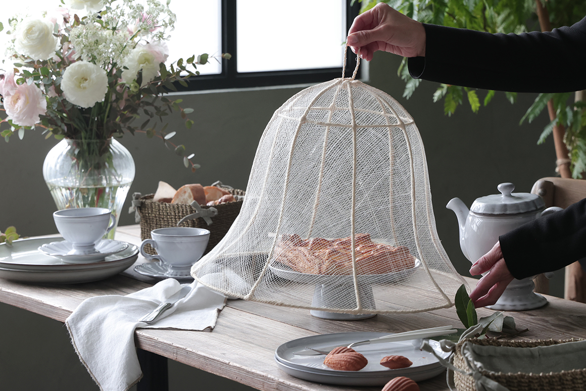 Fiorira un Giardino�ա��ɥ��С�BELL�ۥ磻�� ���Х� �ե������ ���� �����ǥ�����