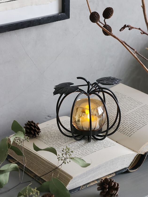 Sache �����ɥ�ۥ���� �ѥ�ץ���֥�å�