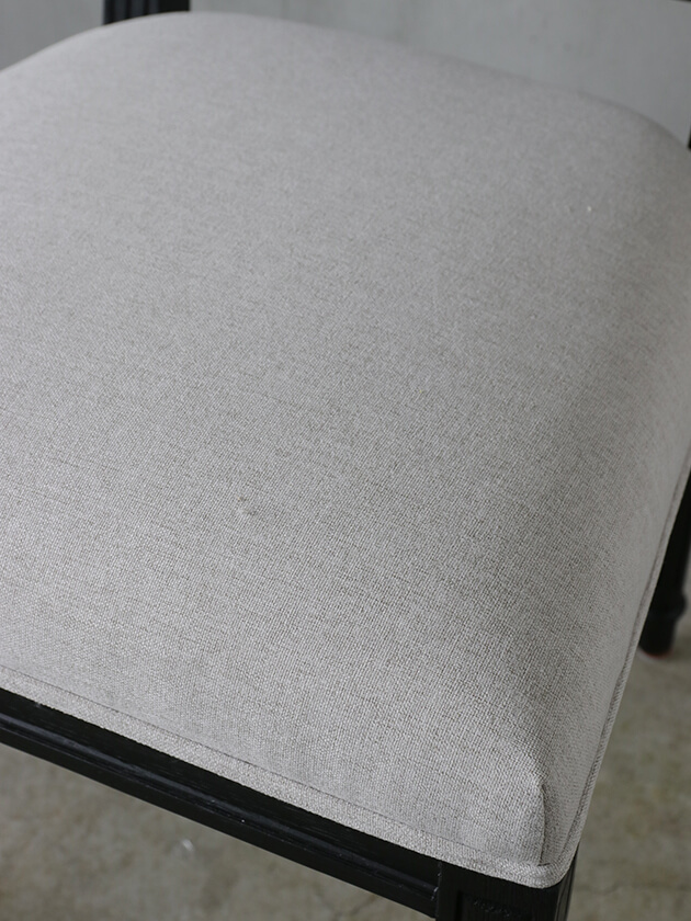 SGD˥󥰥NEW THOMAS֥å 饰졼ǥӥ塼꡼