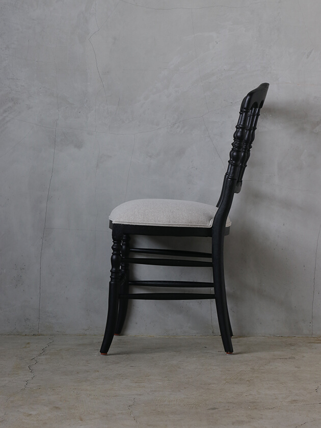 SGD�����˥󥰥�����Napoleon�֥�å� ���饰�졼���ǥӥ塼���꡼��