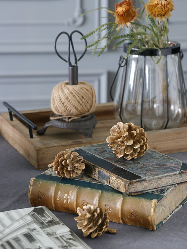 松ぼっくりブロンズ サラグレース