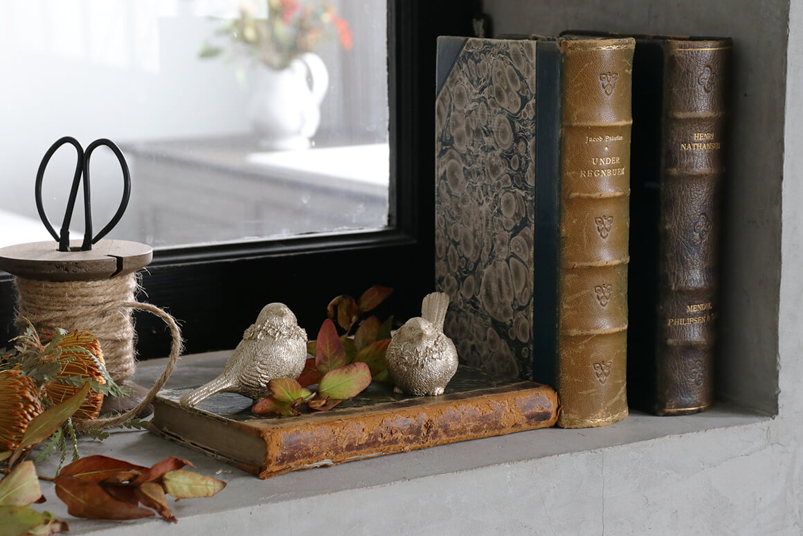 �С���B�����ѥ󥴡����