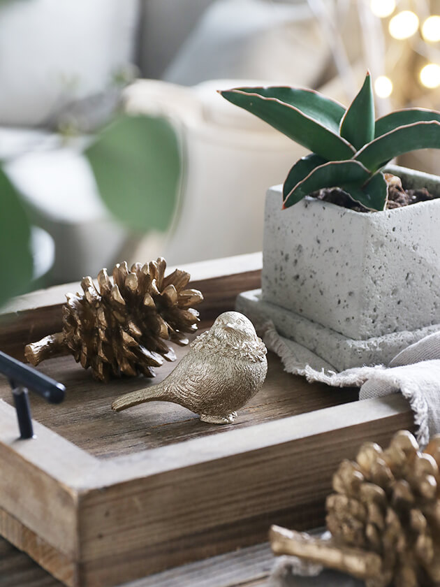 �С���B�����ѥ󥴡����