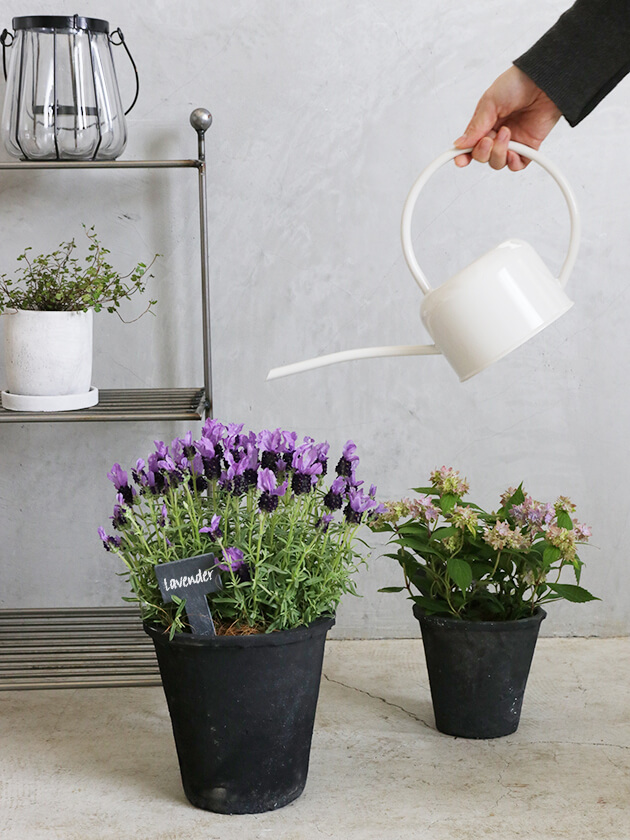 Garden Trading󥰥Chalk1.1L ǥȥ졼ǥ