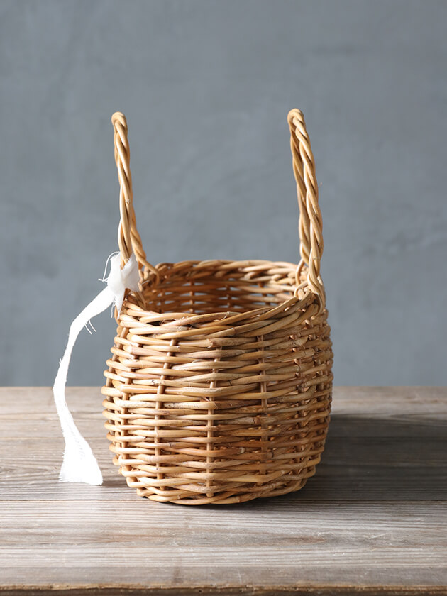 �饿����󥰥Х����å�Anika