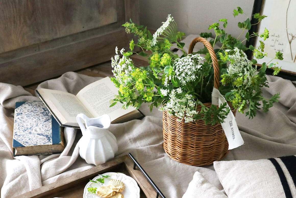 �饿��ϡ��֥Х����å�Anika