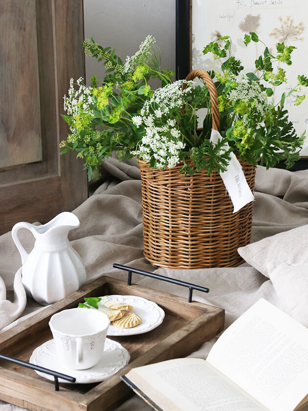 �饿��ϡ��֥Х����å�Anika