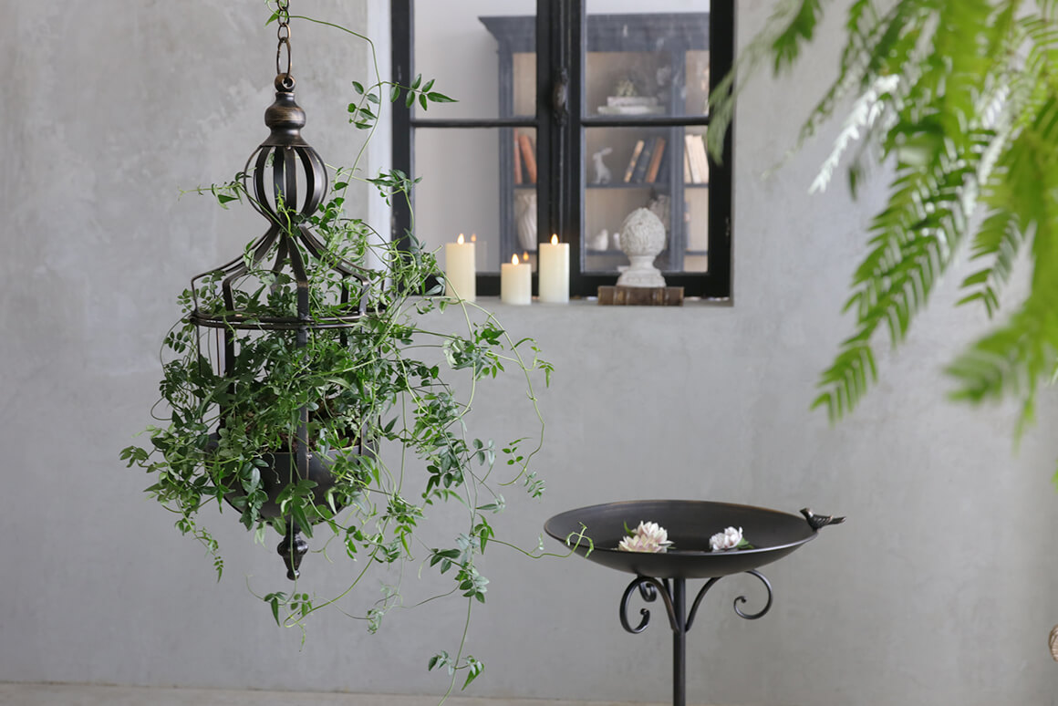 Loire�ϥ󥮥󥰥ե���󥿥�S