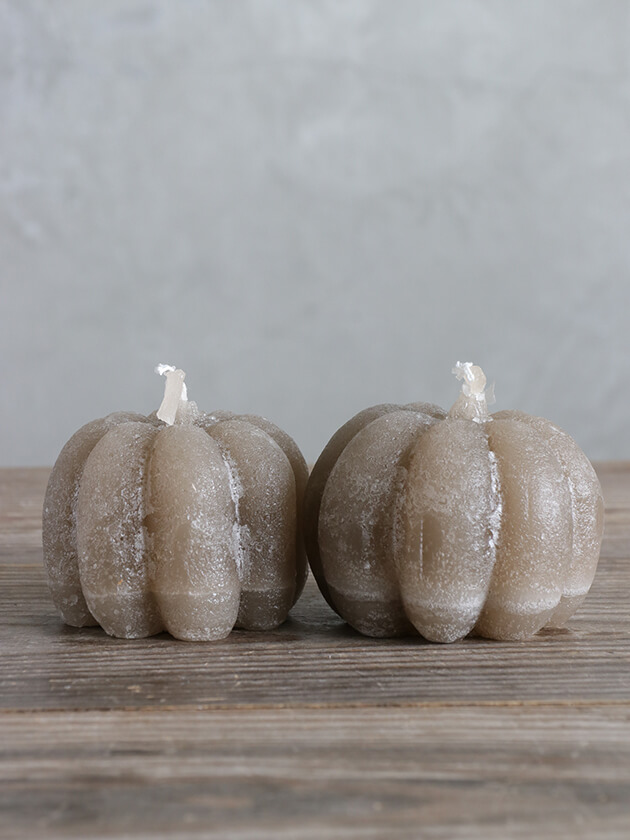 AffariɥPUMPKINĥ졼 ե