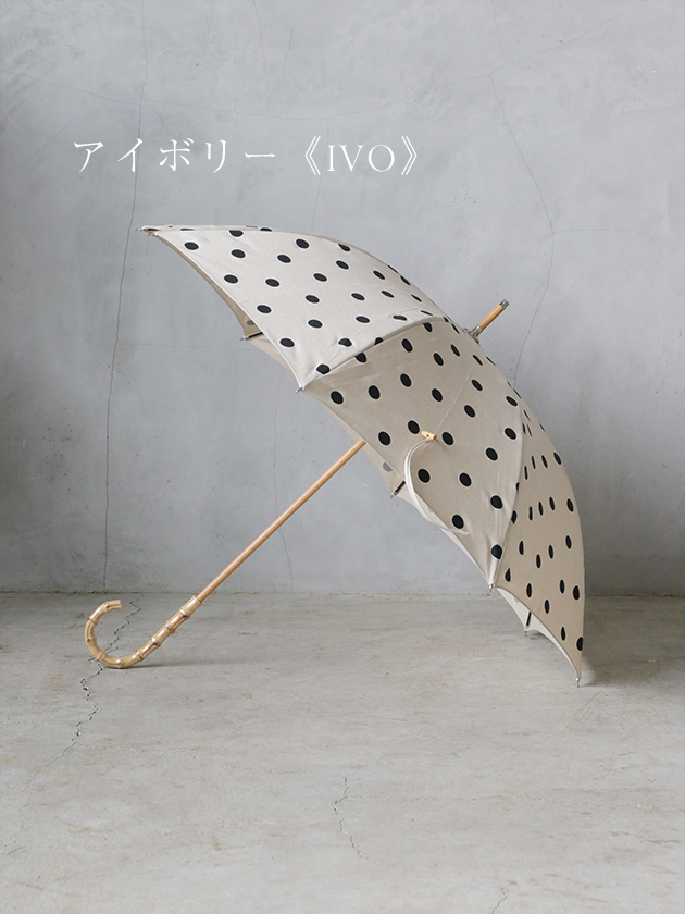 ѥ硼ȻDots