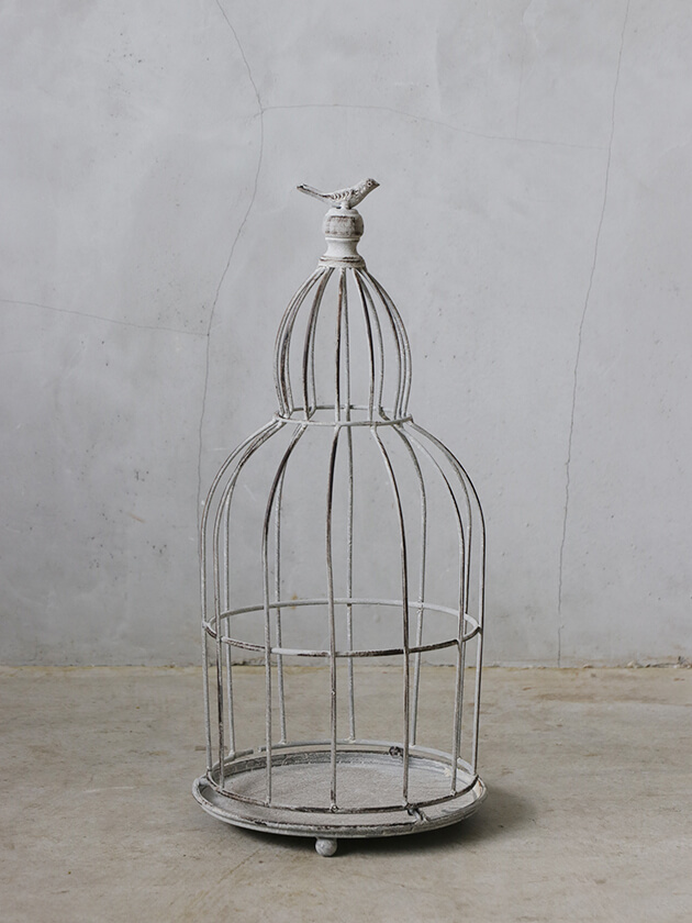 バードケージBird