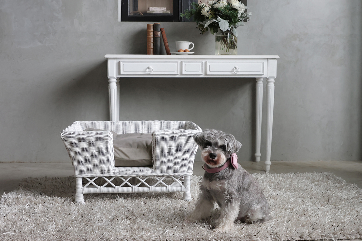 饿ڥåȥ٥åɥۥ磻