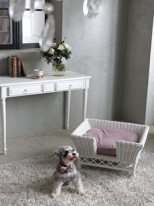 饿ڥåȥ٥åɥۥ磻