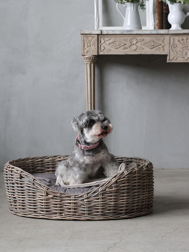 �饿��ڥåȥ٥åɥ����Х��ѥ��å����&���С�