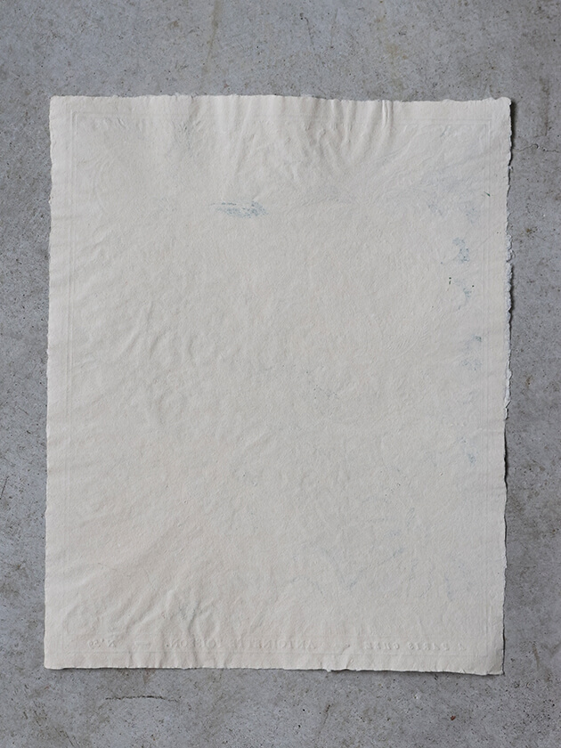 Antoinette Poisson�ɥߥΥڡ��ѡ�59B H46xL36cm ����ȥ�ͥåȥݥ諒��