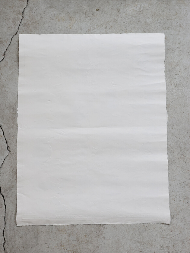 Antoinette Poisson�ɥߥΥڡ��ѡ�52A H66xL50cm ����ȥ�ͥåȥݥ諒��