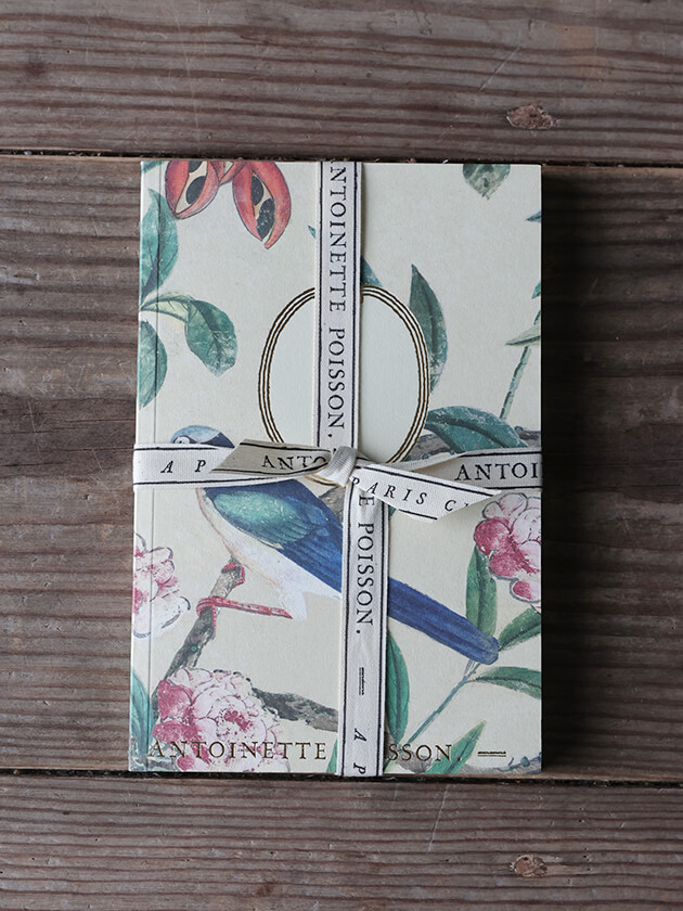 Antoinette Poisson �Ρ��ȥ֥å� 70A �������Υ��᡼��