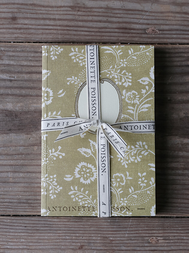 Antoinette Poisson �Ρ��ȥ֥å� 97A �������Υ��᡼��