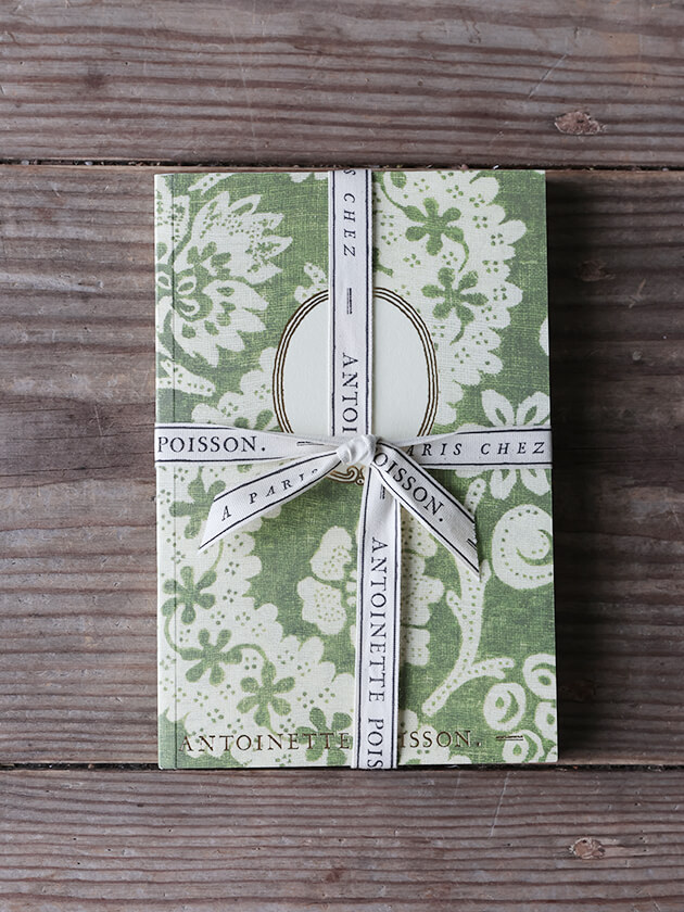 Antoinette Poisson �Ρ��ȥ֥å� 96A �������Υ��᡼��