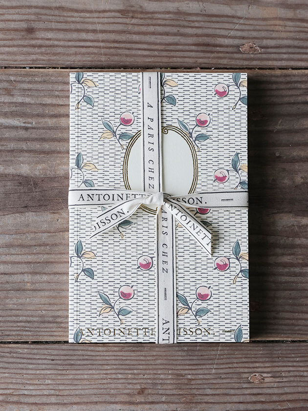 Antoinette Poisson �Ρ��ȥ֥å� 56A �������Υ��᡼��