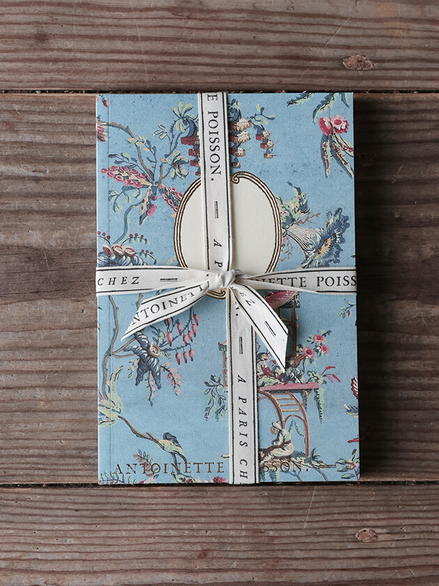 Antoinette Poisson �Ρ��ȥ֥å� 92A �������Υ��᡼��