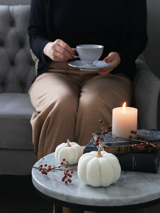 �ե��֥�å��ѥ�ץ��� ���꡼��11cm