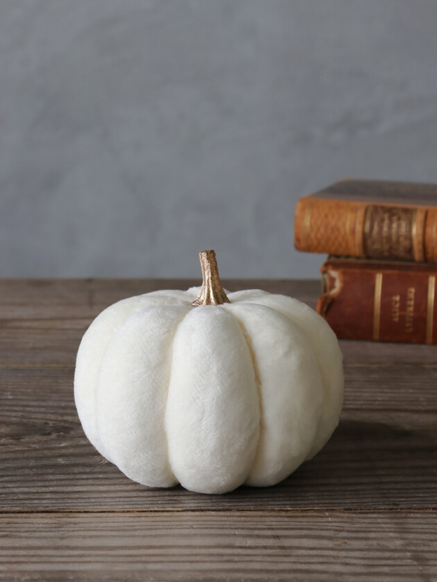 �ե��֥�å��ѥ�ץ��� ���꡼��11cm