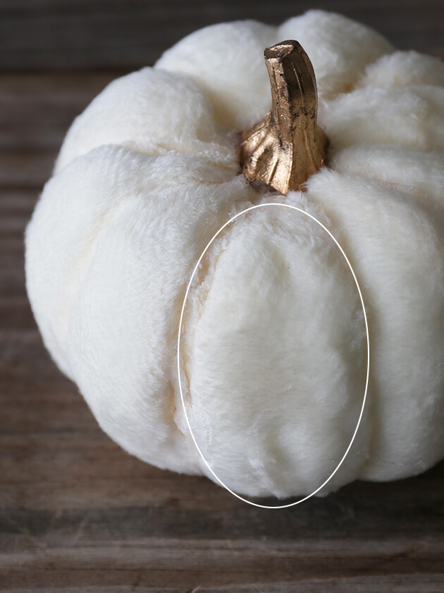 �ե��֥�å��ѥ�ץ��� ���꡼��11cm