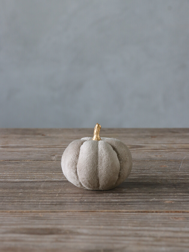 �ե��֥�å��ѥ�ץ��� ���졼8cm