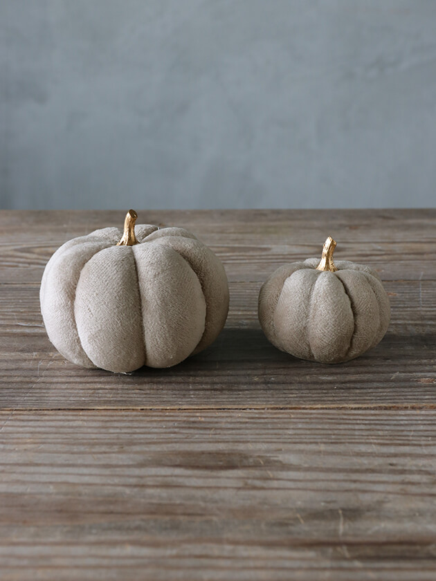 �ե��֥�å��ѥ�ץ��� ���졼8cm