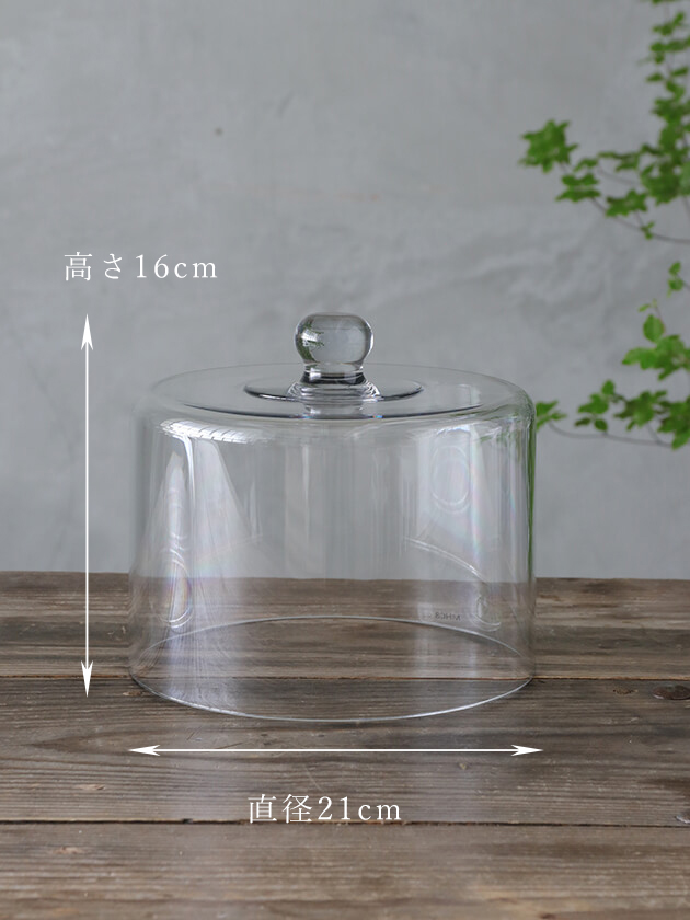 �������ɡ���S21cm���ꥢ