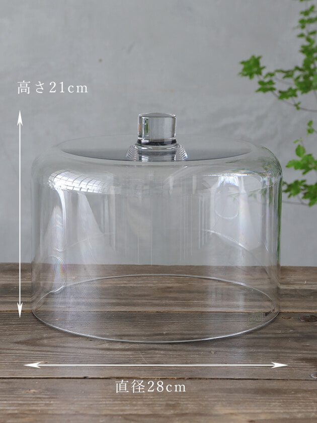 �������ɡ���S28cm���ꥢ