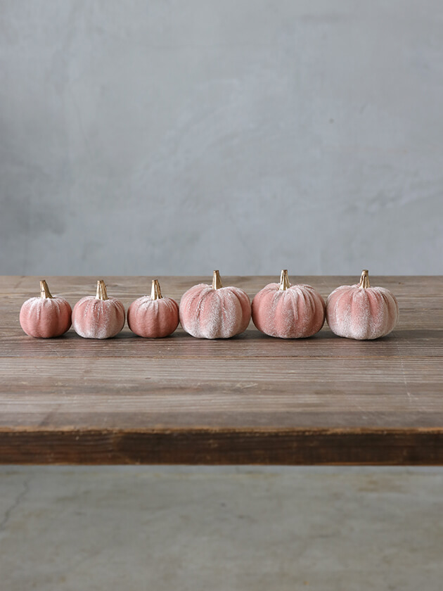 �ѥ�ץ���6�ĥ��å� �ԥ�