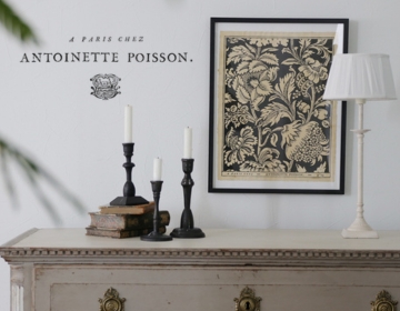 Antoinette Poisson(フランス）