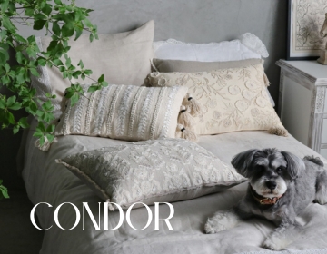 Condor(インド）