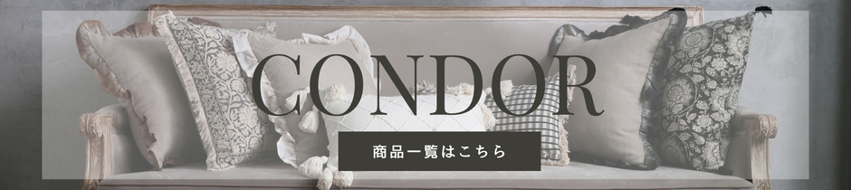 CONDOR ���å����